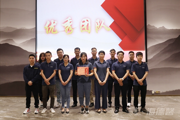 泰豪·海德馨2020年度優(yōu)秀團(tuán)隊（國網(wǎng)銷售部）.jpg